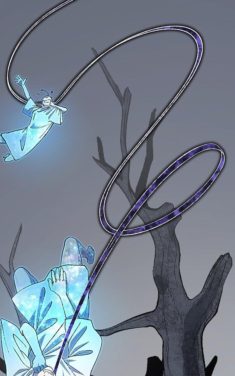 Chapter 1 page 217